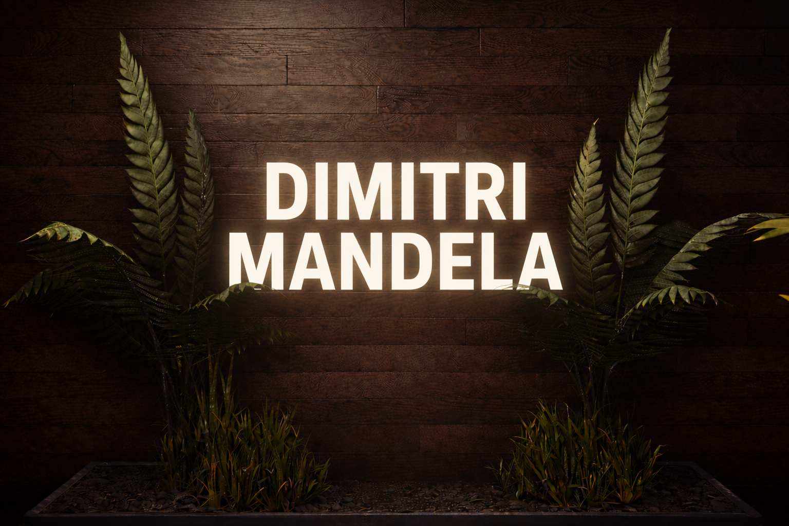 Dimitri Mandela